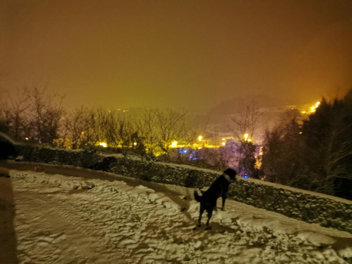 Chateau Montegut Rustique Esterno foto