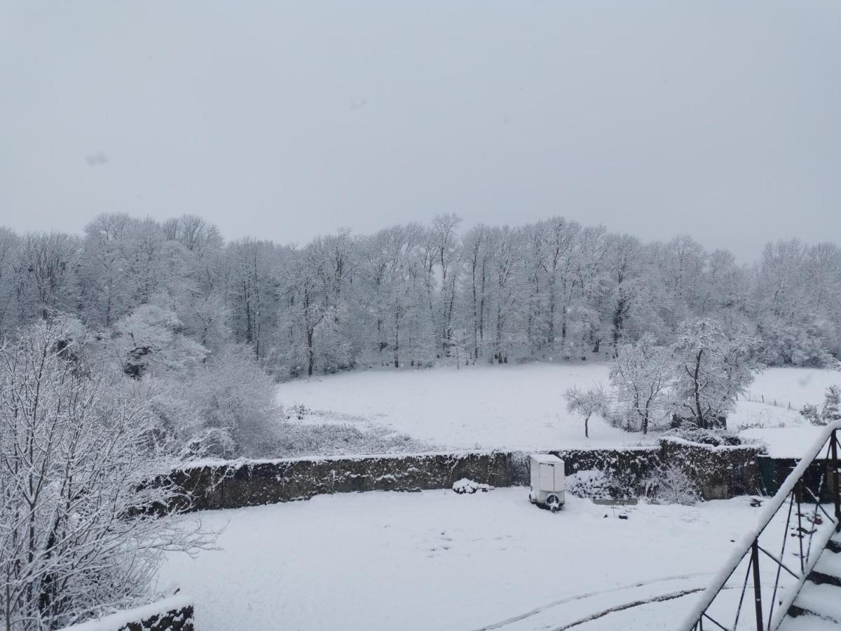 Chateau Montegut Rustique Esterno foto