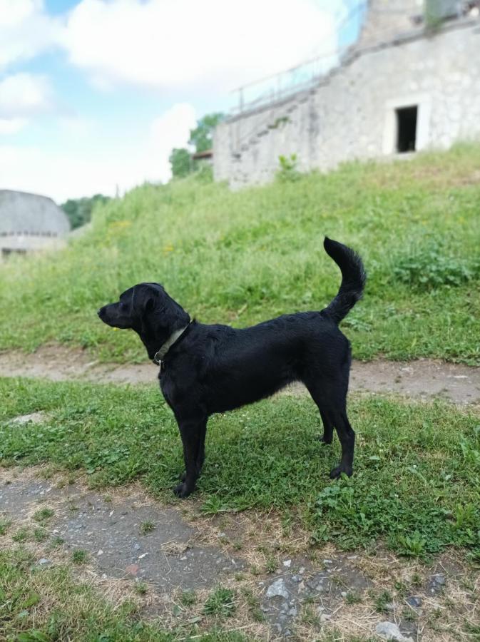 Chateau Montegut Rustique Esterno foto